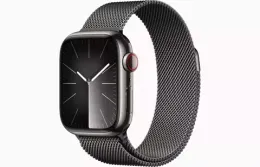 Apple Watch Series 9 Нержавеющая сталь