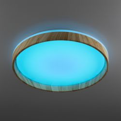 Citilux ENZO CL753452G LED RGB Светильник с пультом Клён