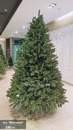 Искусственная ель «Монтерей» (Литая хвоя) от 1.5 до 2.4 м