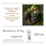 Blackberry Bay, отдушка для свечей и мыла