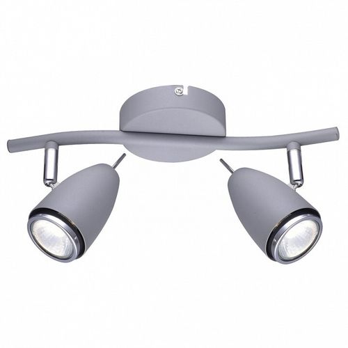 Спот Arte Lamp A1966AP-2GY