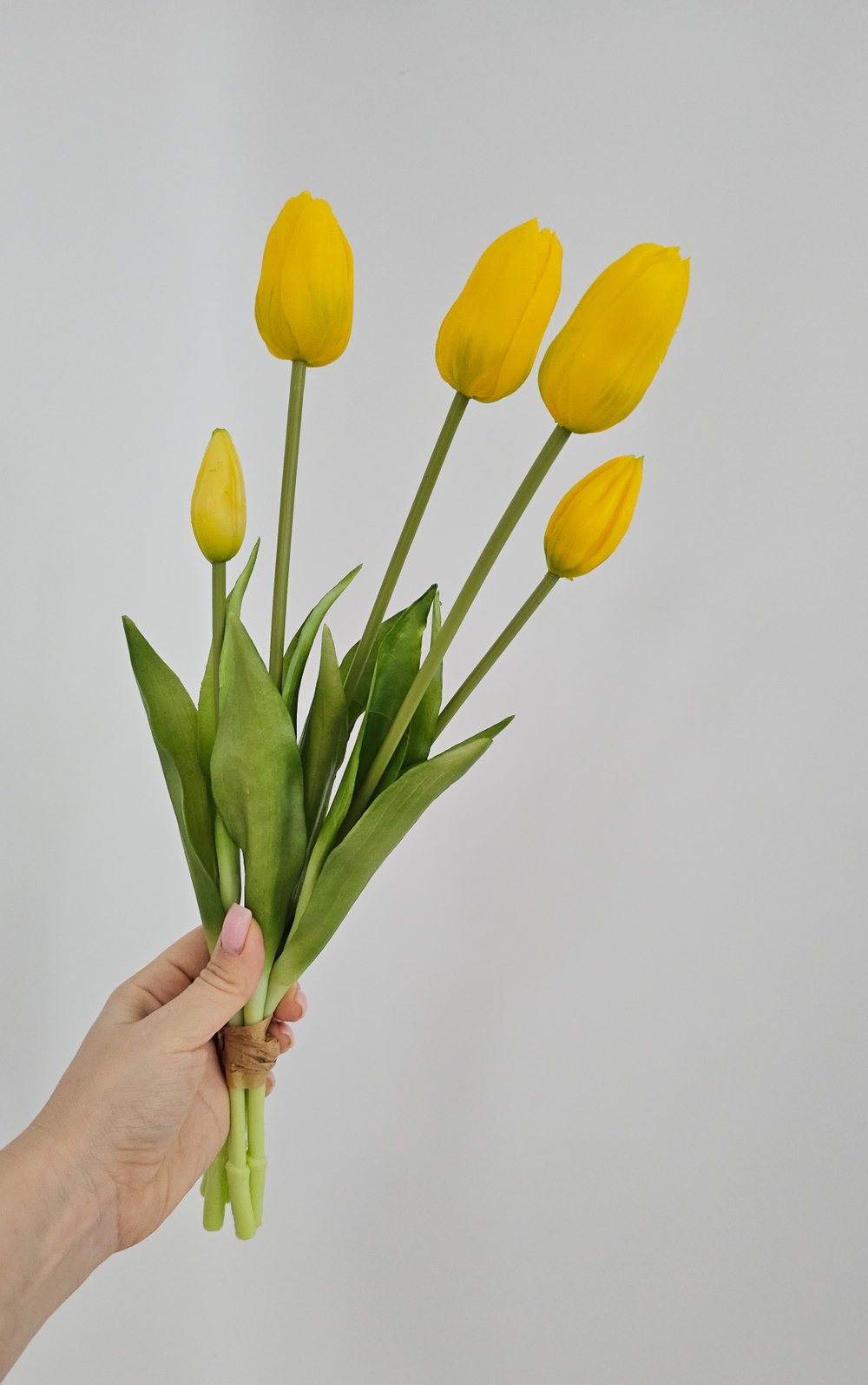 Тюльпаны закрытые / Арт 2452