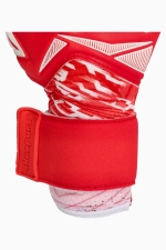 Вратарские перчатки 4keepers Force V4.25 HNC