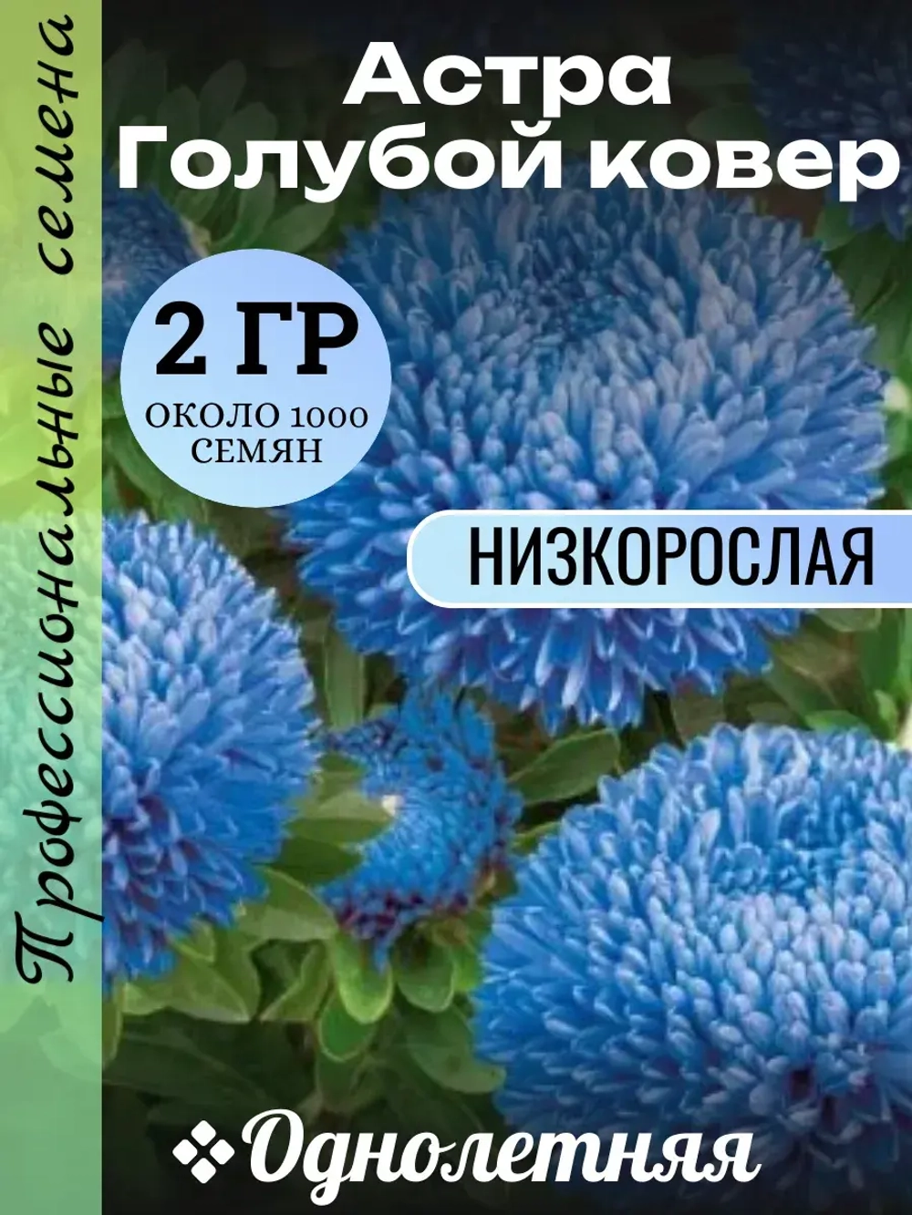 Семена Астра низкорослая Голубой ковер 2 грамма