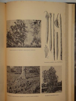 "По островам Малайского архипелага. Впечатления и наблюдения натуралиста". Проф. В.М. Арнольди. 1911г.