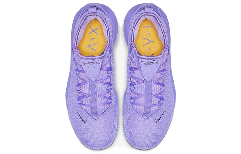 Кроссовки Nike Lebron 16 Low