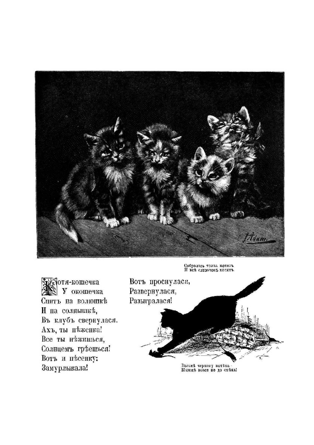 Моя первая естественная история | Некрасова Л. М.