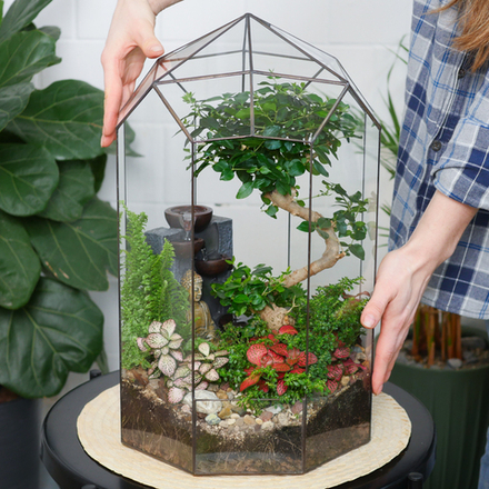 Готовый флорариум бонсай Лигуструм Ботанический сад XL 45см Будда с водопадом