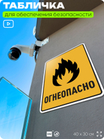 Табличка для обеспечения безопасности "Огнеопасно", для производства, предприятия, организаций, 40х30 см, Silver Plane x Айдентика Технолоджи