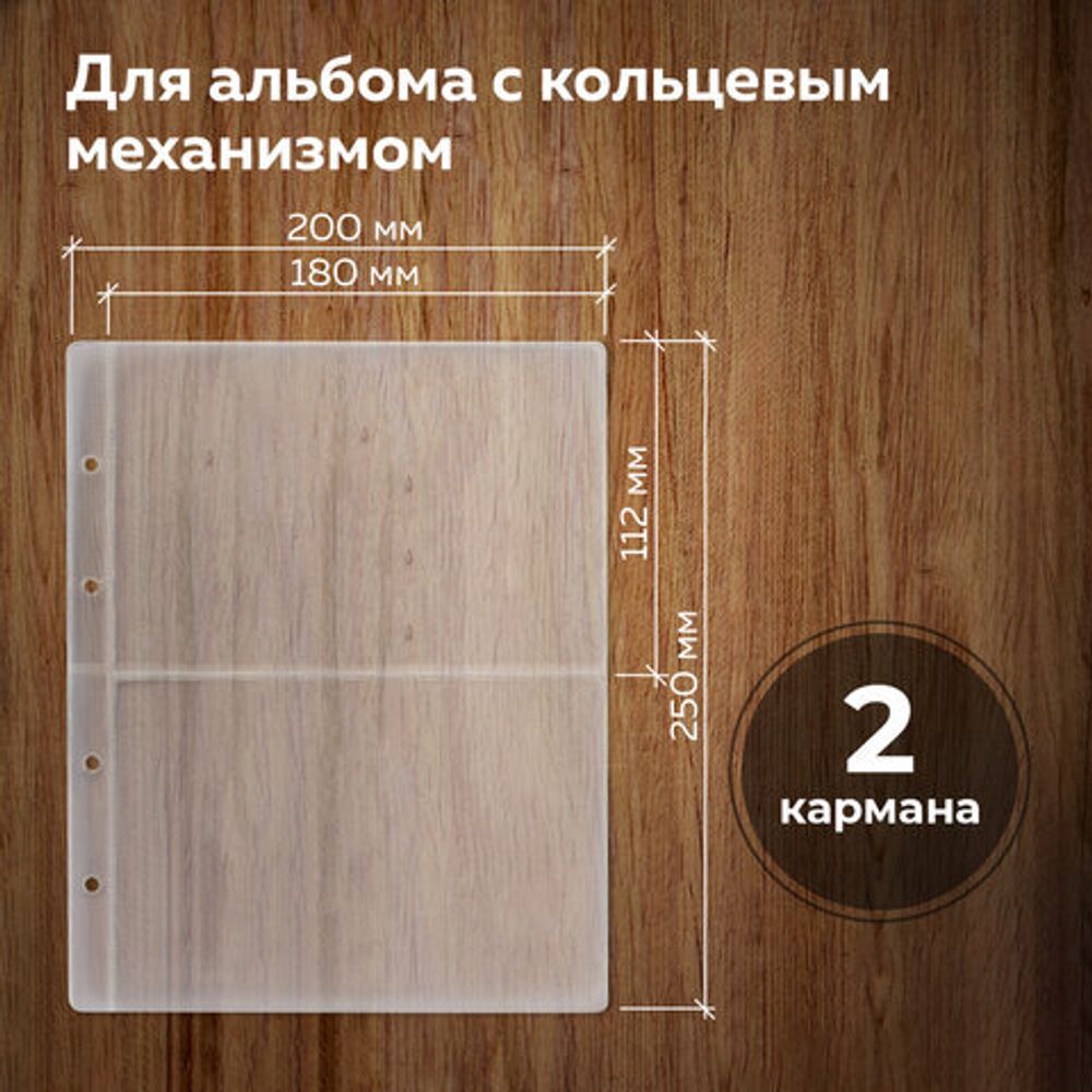 Листы-вкладыши для денежных купюр для альбома "Оптима" М9-05, комплект 5 шт., 200х250 мм, 2 кармана, ЛМБ-02