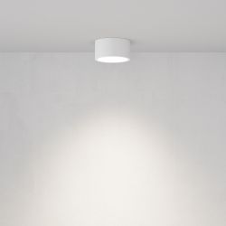 Светильник потолочный Maytoni   C001CL-GX53-W