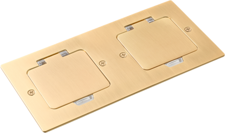 Лючок Surface 4 мод. (2 мод. 45х45 мм.),  золото,  IP44