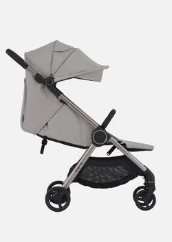 Anex Детская коляска iQ Silve