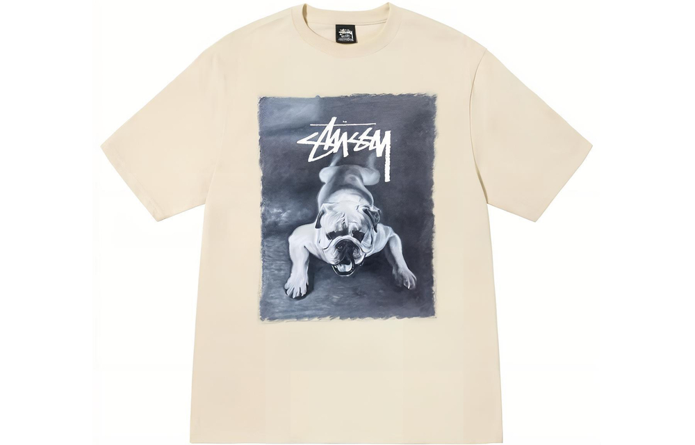 Футболки Stussy FW22 T, 1904844