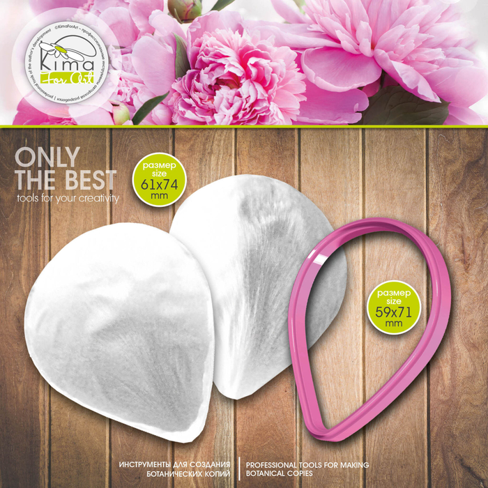 Пион Сара Бернар лепесток большой