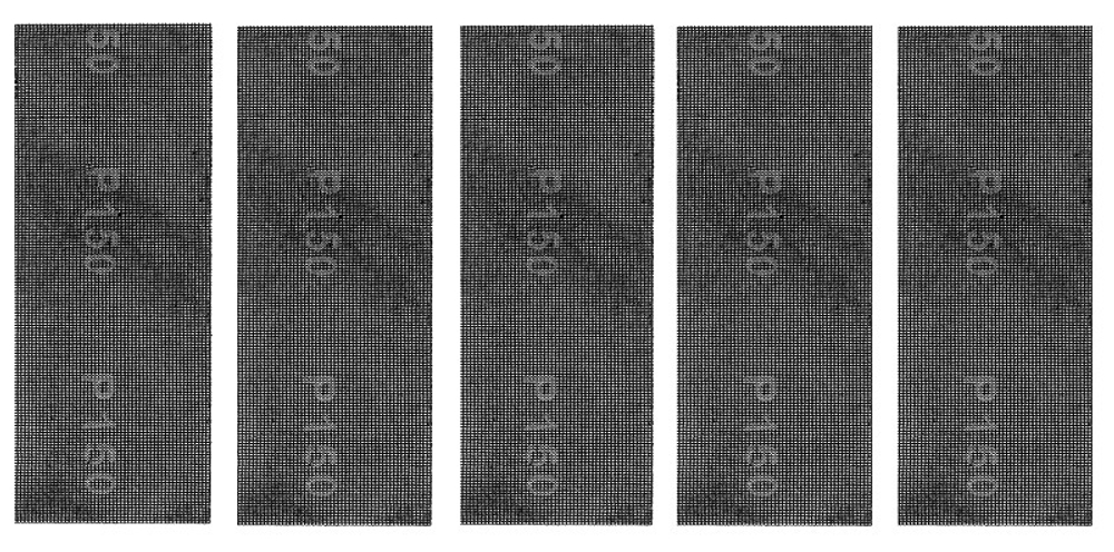 СЕТКА АБРАЗИВНАЯ СИБРТЕХ 115X280 ММ (5ШТ) Р150 751307