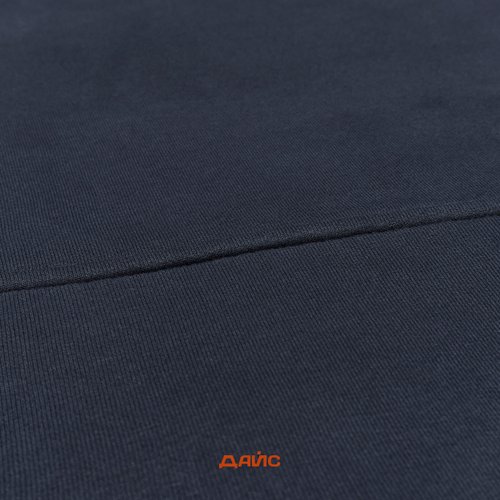 Толстовка мужская Dickies Skateboarding Logo Hoodie  артикул:TWSK0_blue - купить в магазине Дайс