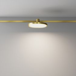 Накладной светильник Maytoni Plato TR153-1-10W4K-BS