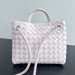 Bottega Veneta Small Andiamo 25 cm