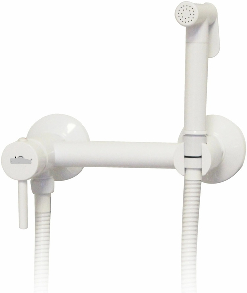 Смеситель для биде TRIGOR пристенный V18-FW-253