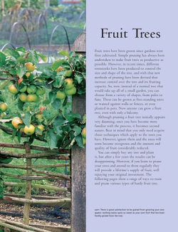 Practical Guide to Pruning, Training and Topiary