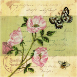 25х25¶см¶Аида 14¶Белая¶Хлопок - 100%