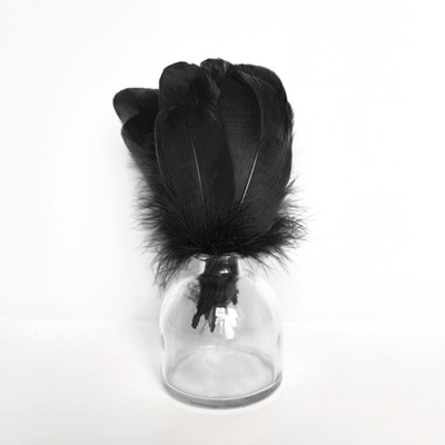 Гусиные перья черные скругленные 20шт.