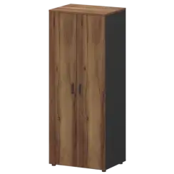 Шкаф для одежды СМШ-58-6ШД Тип2  792x594x1990 Смарт