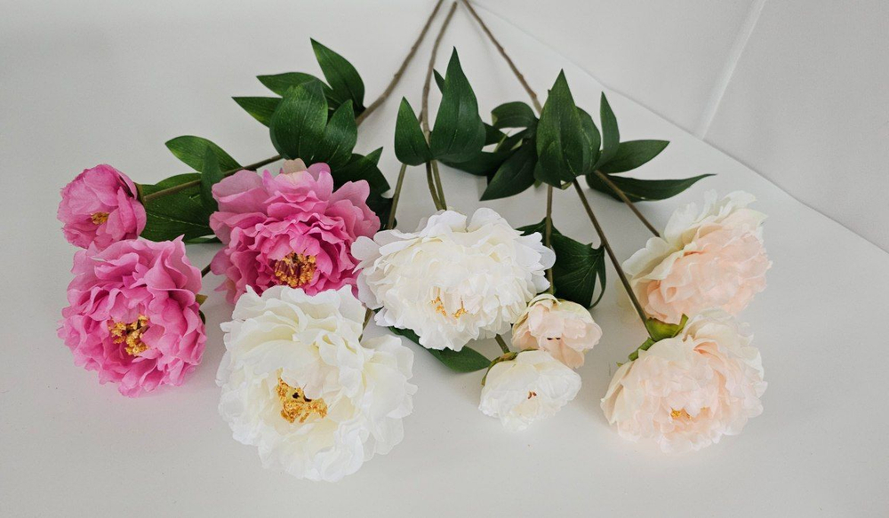 Пион крупный / Арт 2553