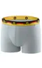Мужские трусы BB33 Серый