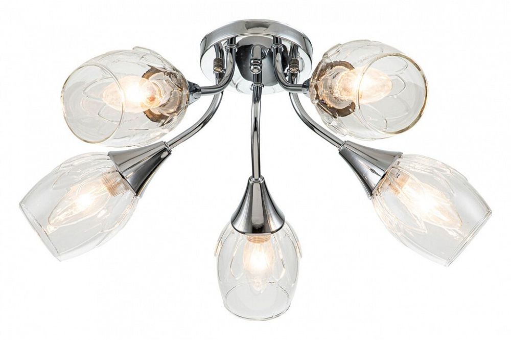 Накладной светильник Escada Tulip 670/5P