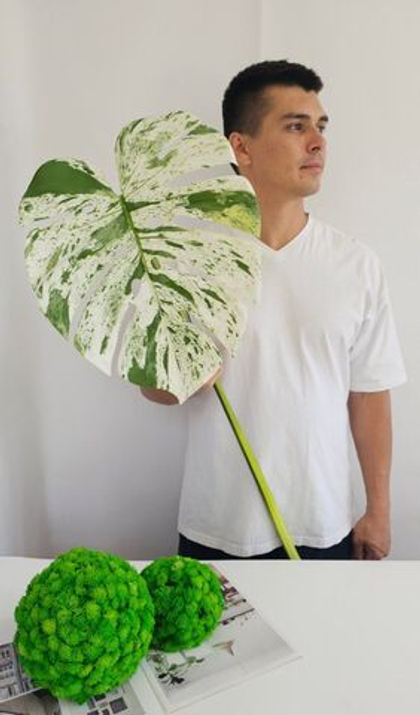 Лист монстеры / Арт 9082