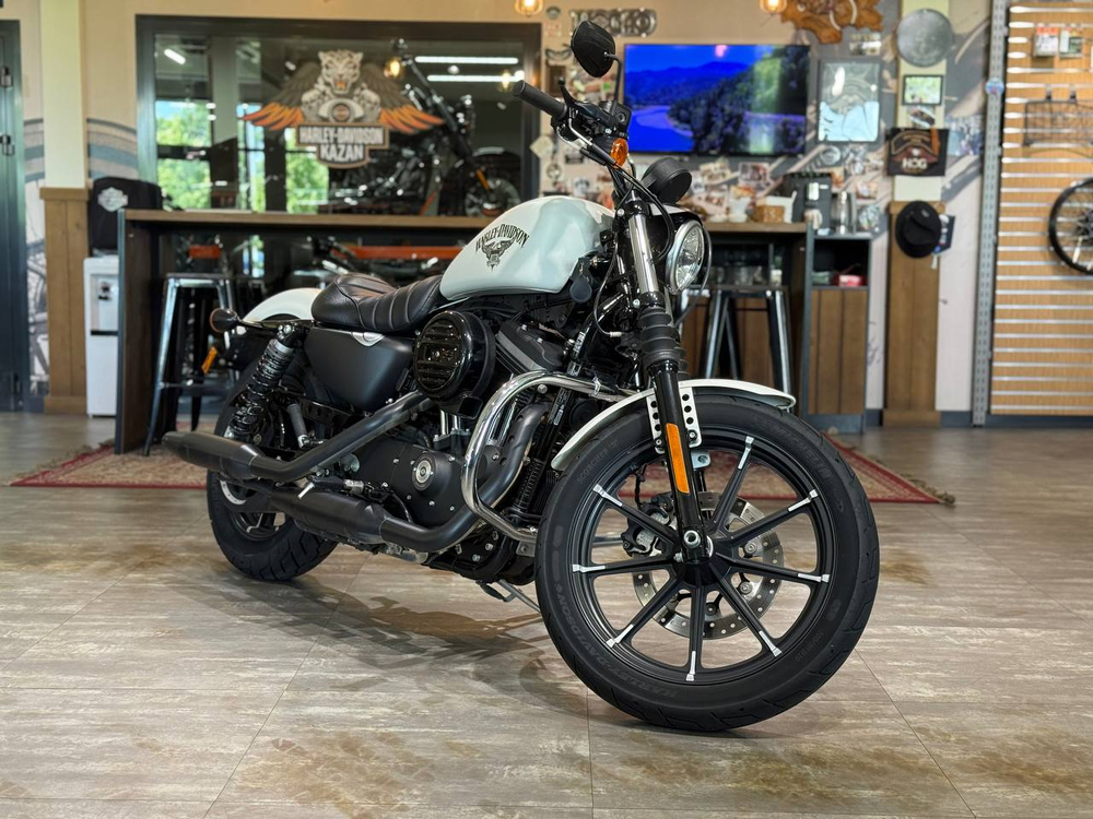 Harley-Davidson Sportster Iron 883 (XL883N) 2018