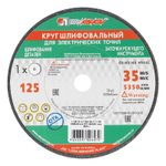 Круг шлифовальный, 125 х 16 х 12.7 мм, 63С, F60, (K, L) "Луга"