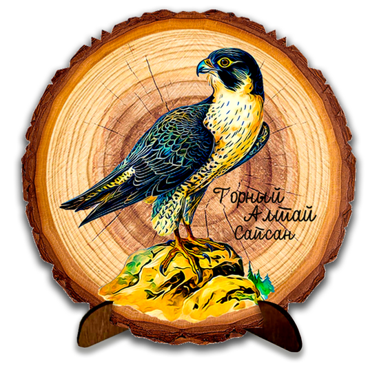 Спил кругляк "Сапсан"