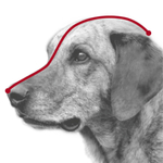 Намордник, размер L (32 см), пластик, Trixie