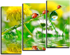 Модульная картина "Флора и фауна"