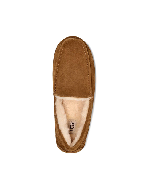 ASCOT MENS chestnut