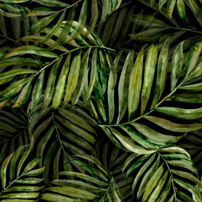 акварельные ветви пальмы на черном