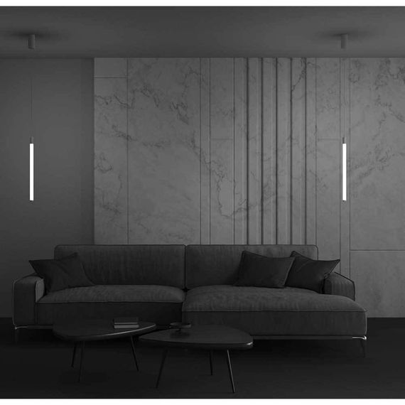 Подвесной светильник Maytoni Ray P022PL-L10W