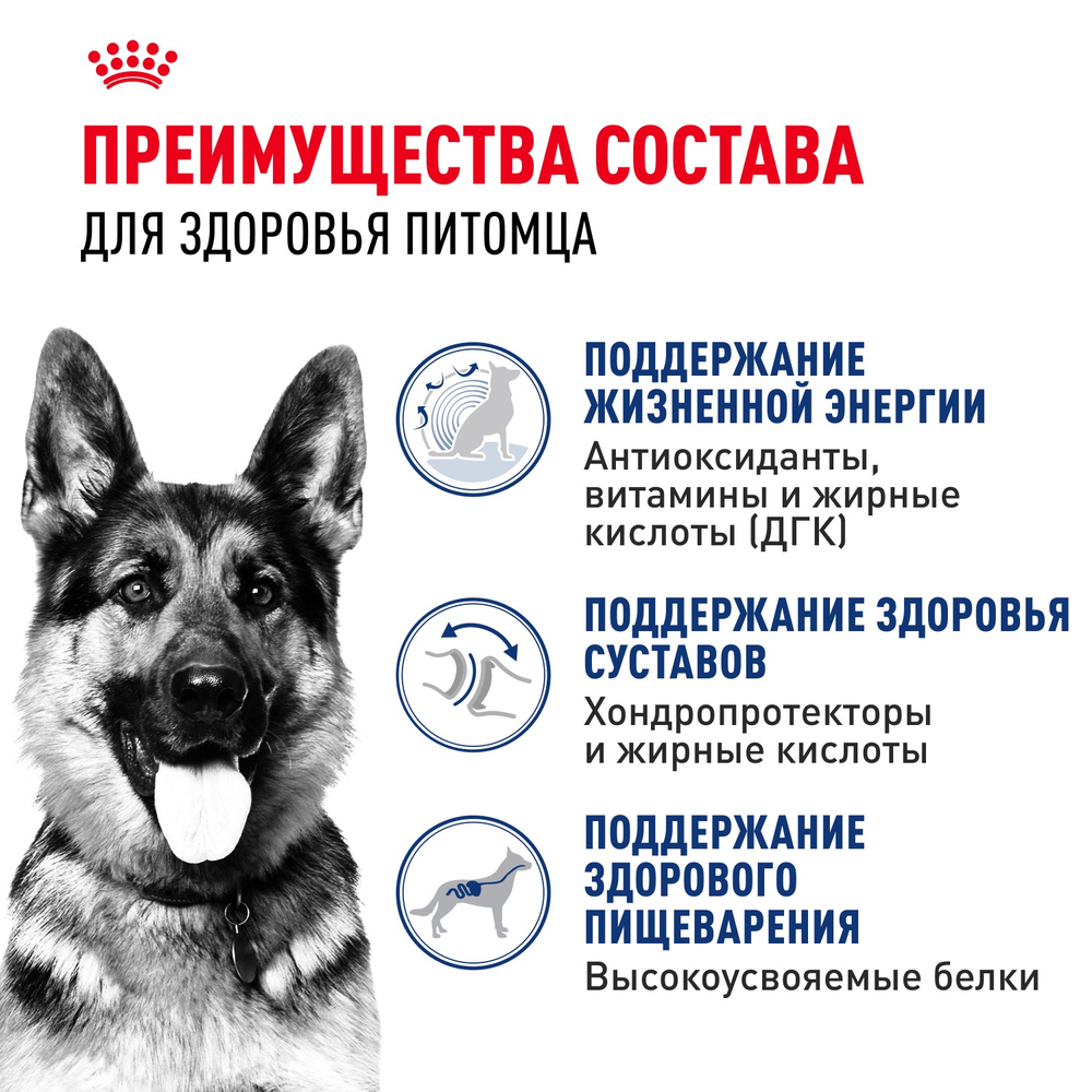 Royal Canin Maxi Ageing 8+ Макси Эйджинг Корм сухой для стареющих собак крупных пород старше 8 лет 15кг
