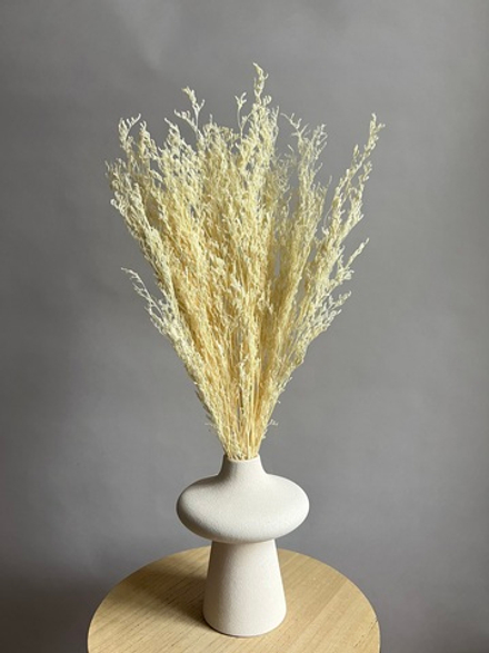 Кермек молочный