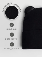 Шапка для мальчика осенняя с ушками