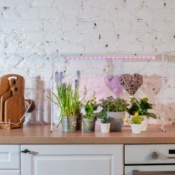 ULI-P12-18W-SPLE IP40 WHITE Светильник для растений светодиодный линейный. 560мм. выкл. на корпусе. Спектр для фотосинтеза. TM Uniel