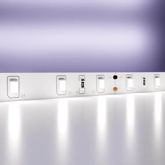 Светодиодная лента 24В 2835 4,8Вт/м 6000K 5м IP20 Led Strip 10138