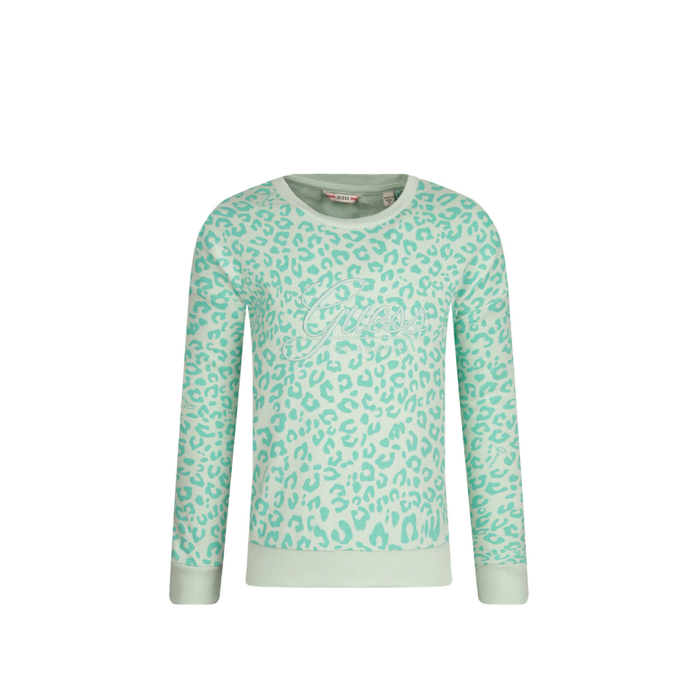 худые Guess - мятный(J2YQ00 KA6R3)