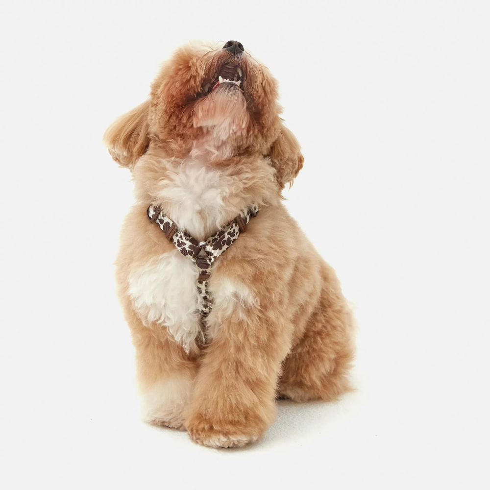 Анатомическая шлейка Cow