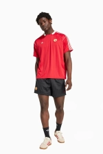 Шорты adidas Manchester United 24/25 Terrace Icons - черный