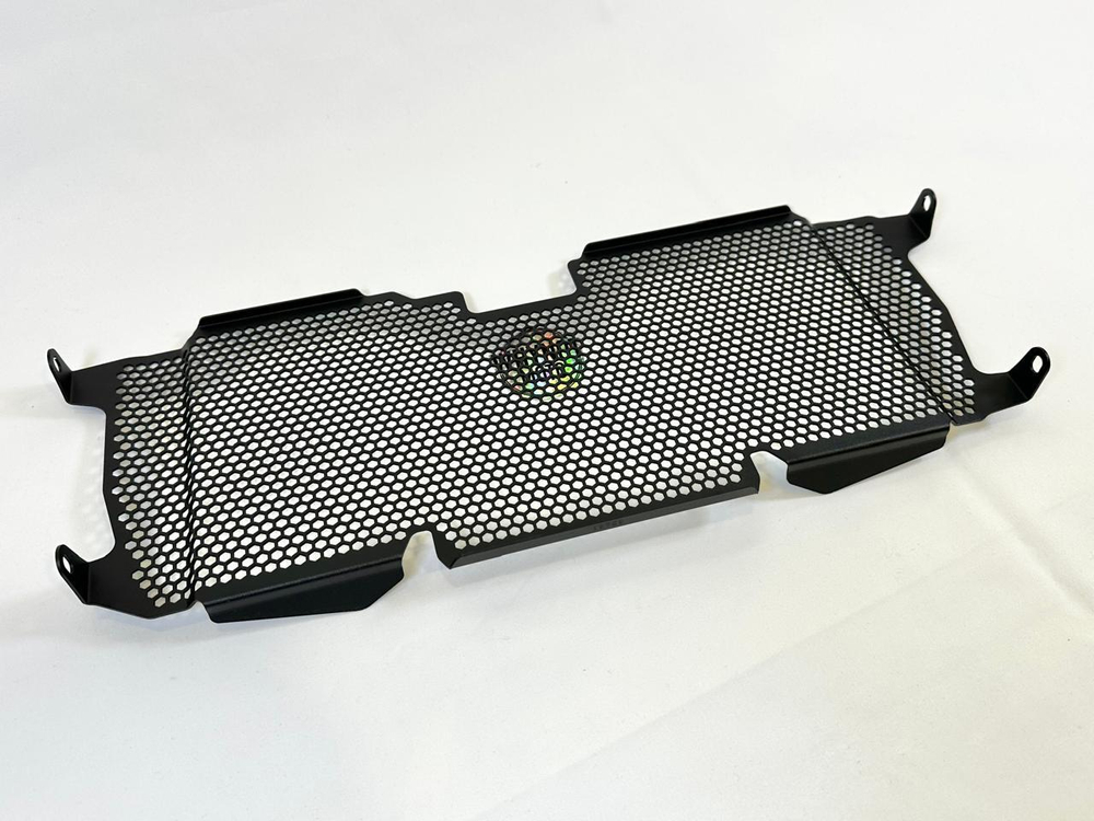 Evotech Performance Защитная сетка радиатора BMW R 1250 R PRN012256