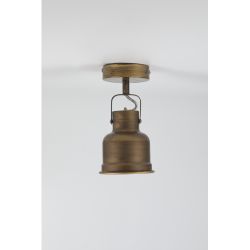 Светильник настенно-потолочный спот Rivoli Inessa 7035-701 поворотный 1 х Е27 40 Вт